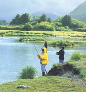 fishing
